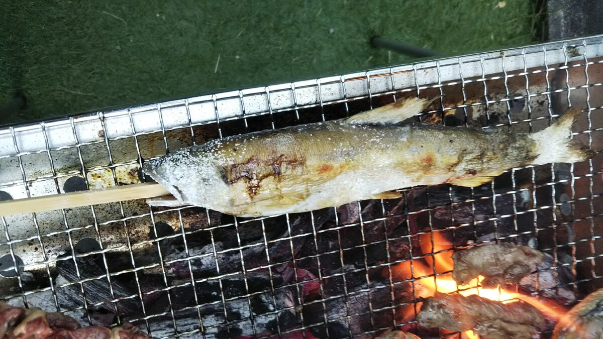鮎の塩焼き レシピ 作り方 By シェリママ 楽天レシピ 鮎の塩焼き レシピ 作り方 By シェリママ 楽天レシピ